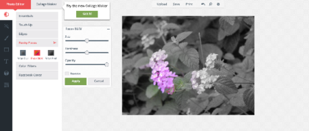 Top 5 Photo Editing Tools On Google Chrome Store