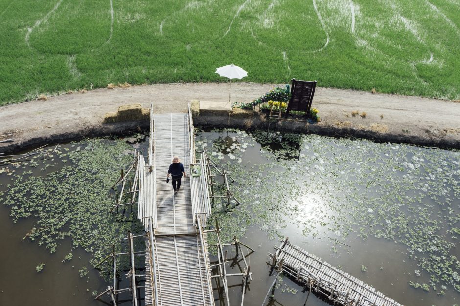 What You Should Know About Sludge Dewatering Screw Presses